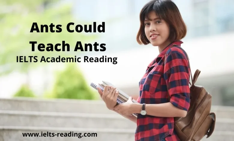 Ants Could Teach Ants Reading Answers Ants Could Teach Ants Reading Answers