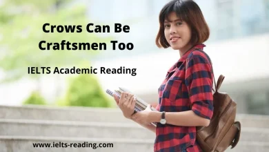 Crows Can Be Craftsmen Too IELTS Reading Crows Can Be Craftsmen Too IELTS reading academic