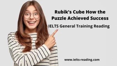 rubik's cube how the puzzle achieved success